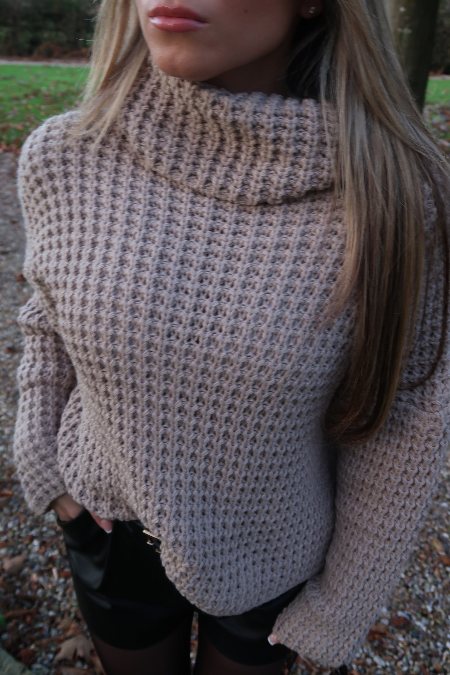 "Autumn" Soft Chunky Knit Roll Neck Jumper in Beige